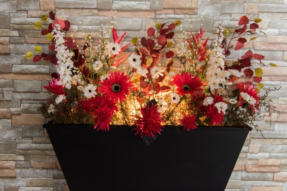 Hotel Le Floral แชร์บูร์ก ภายนอก รูปภาพ